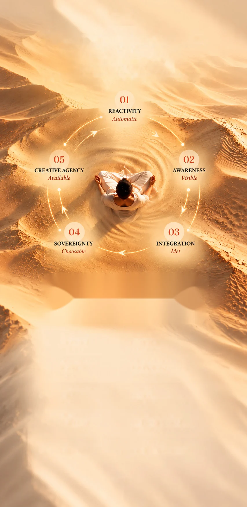 The Map: a person meditating in a spiral of desert sand, ringed by five stages moving clockwise: 01 Reactivity (automatic), 02 Awareness (visible), 03 Integration (met), 04 Sovereignty (choosable) and 05 Creative Agency (available).
